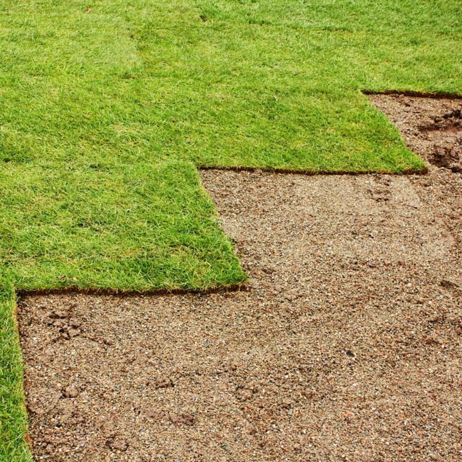 Groundwork for Healthy and Vibrant Landscapes Groundwork for Healthy and Vibrant Landscapes - Sod Installation