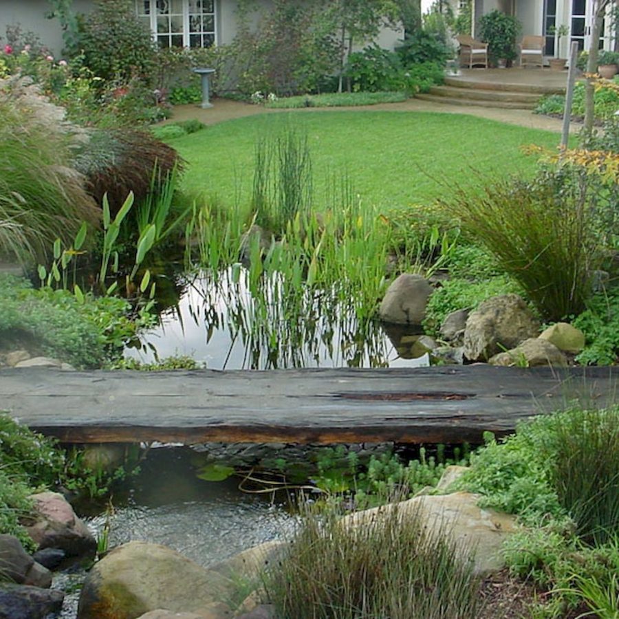 The Beauty and Benefits of Rain Gardens