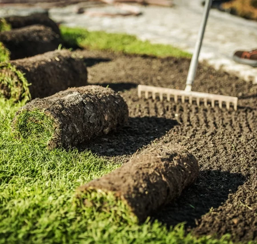 Specialized Services Specialized Services