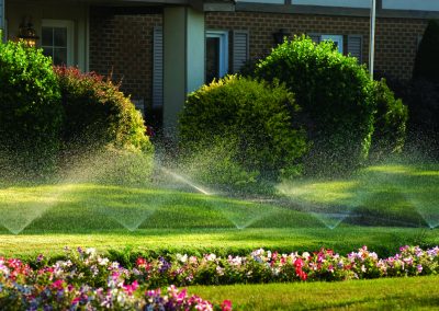 Front Yard with Sprinklers