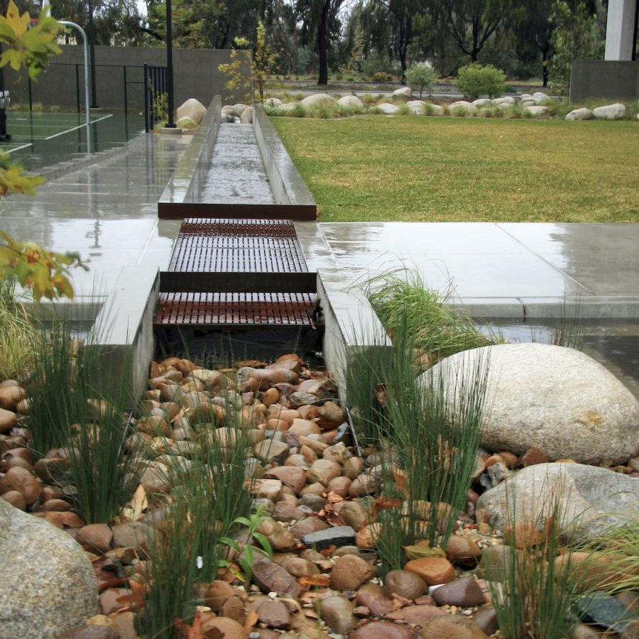 The Essence of Rain Gardens