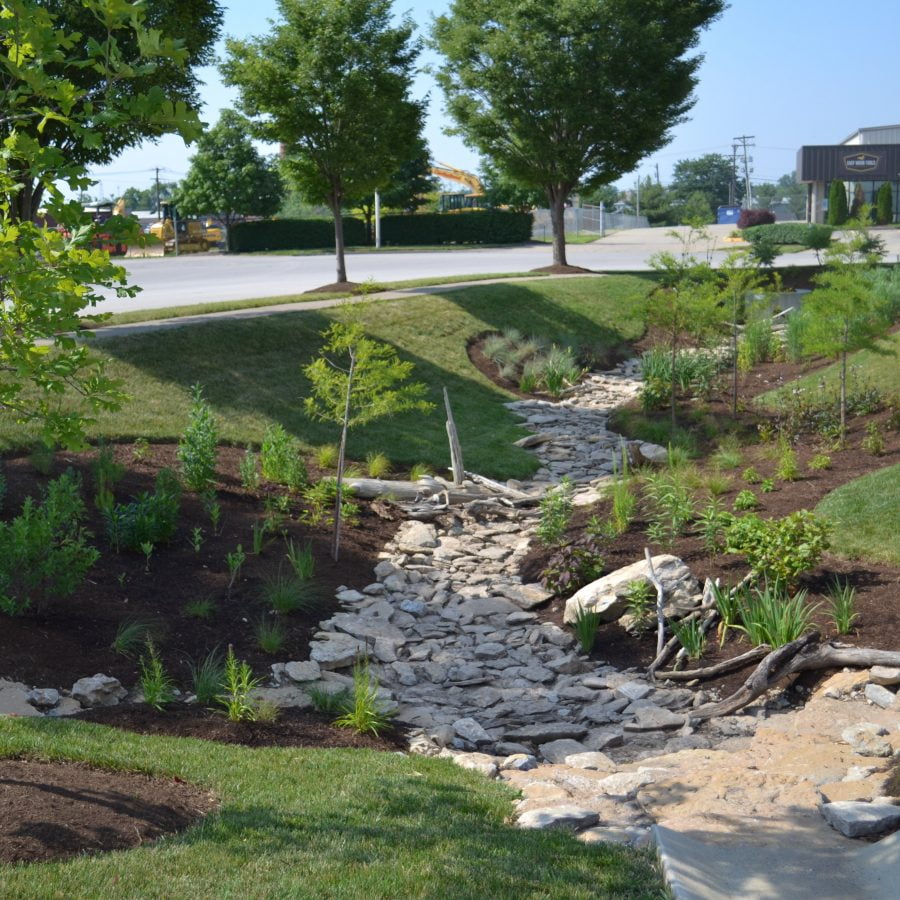 Harmonizing Aesthetics and Sustainability for Water Management