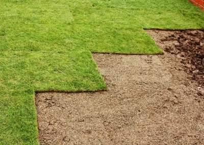 Fresh sod being laid on a garden, with several rolls partially unrolled on a dirt beneath a bright green lawn.