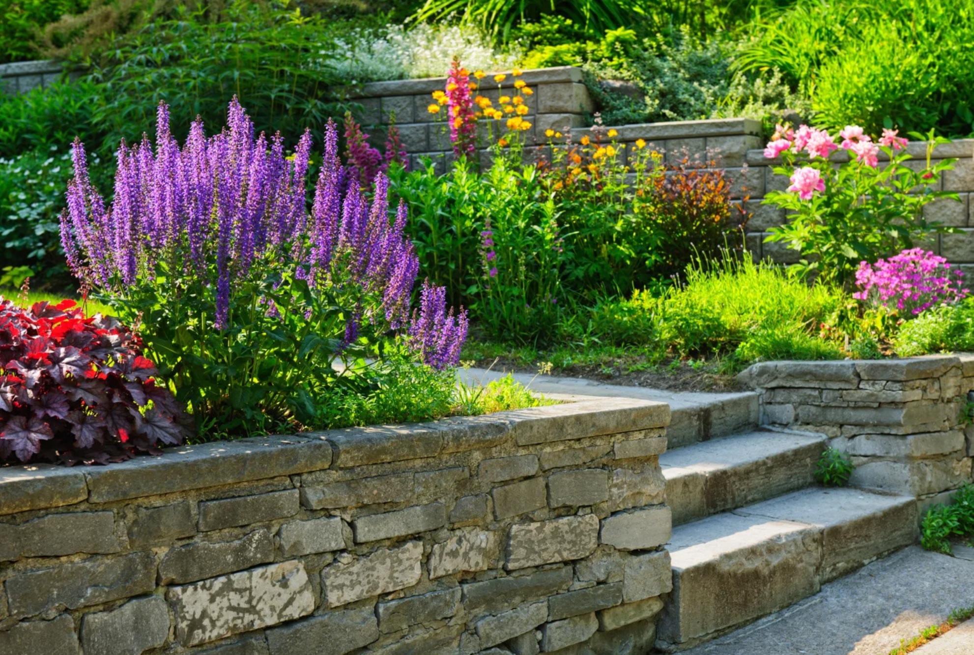Stone steps in a terraced garden with blooming purple, pink, and yellow flowers in bright sunlight.