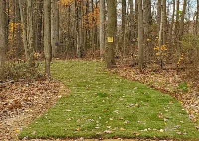 A grassy path leads into a forest with bare trees and fallen autumn leaves on the ground.
